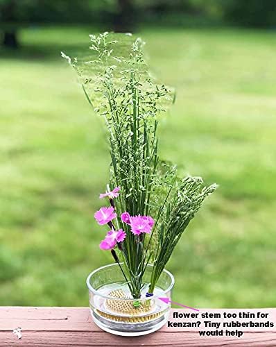 200 Clear Hair Ties and Rubber Bands for Hair, Women, and Girls - Mini Ties for Pet Grooming and Hair Accessories