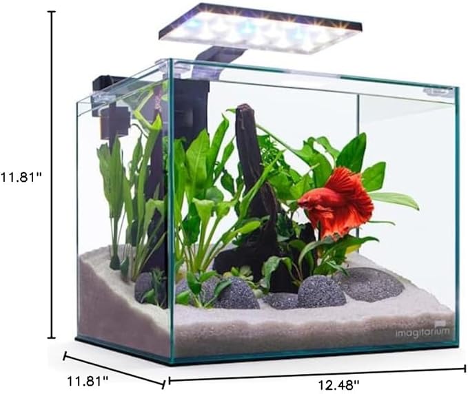 Imagitarium Glass Betta Aquarium Kit 5 Gallons