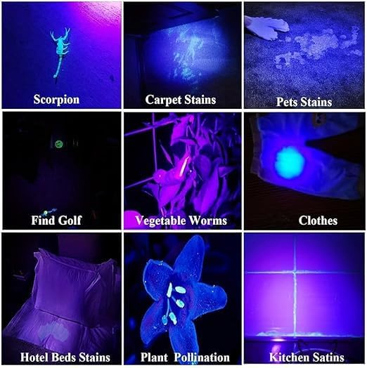 MODOAO 3 Pack UV Flashlight 395nm Super Bright Black Light with LED Light Waterproof Design Flashlight for Dog/Cat Urine Stains,Dry Stains,Resin Curing