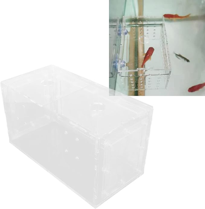 Fish Breeding Isolation Box | Transparent Mesh Side Aquarium Incubator | Guard Small Fish/Eggs | Acrylic Lid & Adjustable Hook | for Fish Tank Hatching (20 * 10 * 11CM)