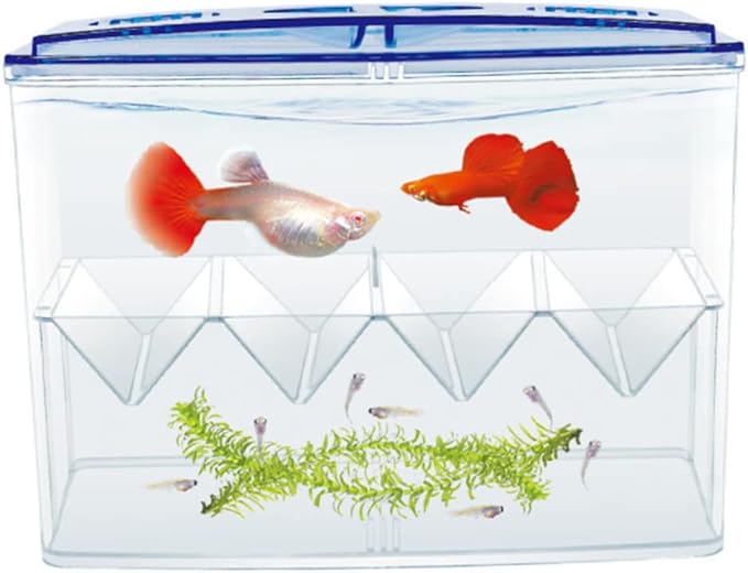 FRCOLOR 1pc Small Fish Hatching Isolation Box Freestanding Self-Floating Breeding Tank for Betta and Shrimp Easy to Clean Safe for