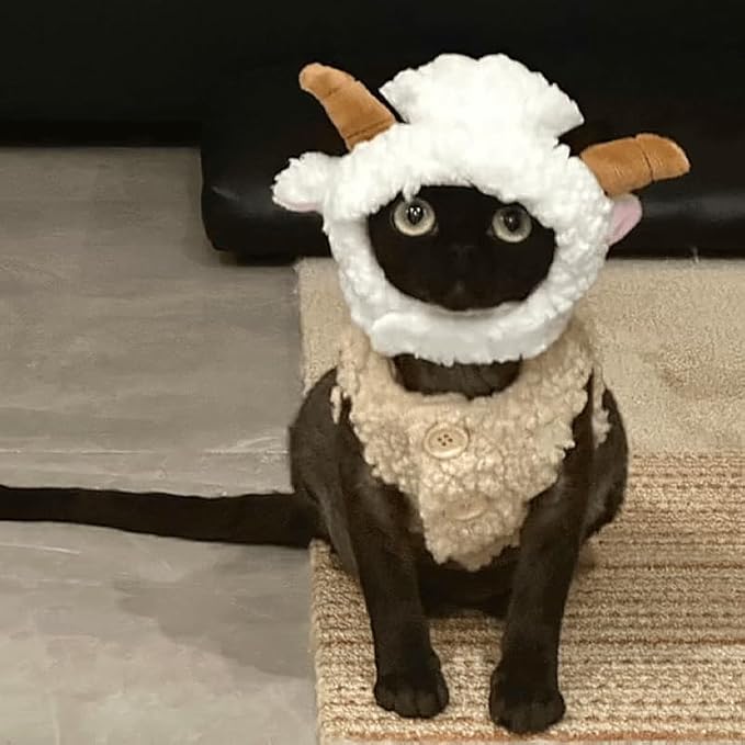 Warm Fleece Lined Winter Clothing for Sphynx & Devon Rex Cats | Soft Faux Lamb Wool | Cozy and Comfortable (Sheep Costume,Sheep hat with Horns)
