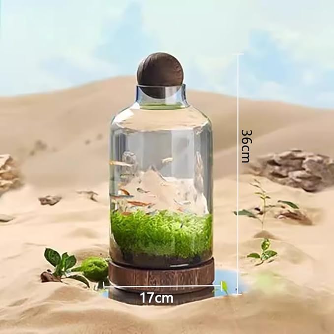 Glass Aquarium with Wooden Base, Transparent Wooden Fish Tank, Elegant Natural Betta Fish Tank, Clear HD Glass Goldfish Bowl, Aquaponics Fish Tank, Micro Landscape Culture Tank,M