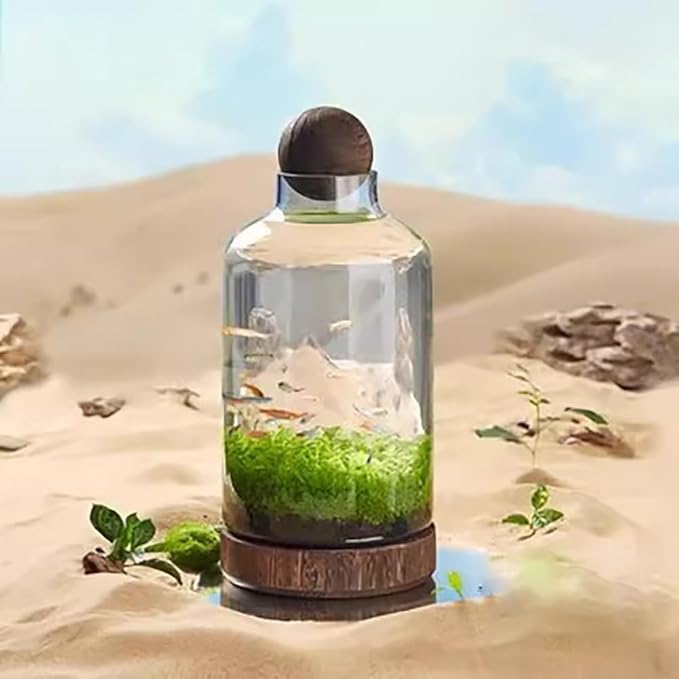 Glass Aquarium with Wooden Base, Transparent Wooden Fish Tank, Elegant Natural Betta Fish Tank, Clear HD Glass Goldfish Bowl, Aquaponics Fish Tank, Micro Landscape Culture Tank,M