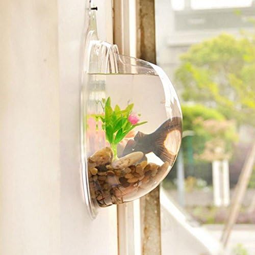 Acrylic Wall Mounted Fish Bowl, Hanging Aquarium Transparent Plastic Bubble Gold & Betta Fish Tank,Round Pot Flower Plant Vase Home Decoration (XL: 350mm)