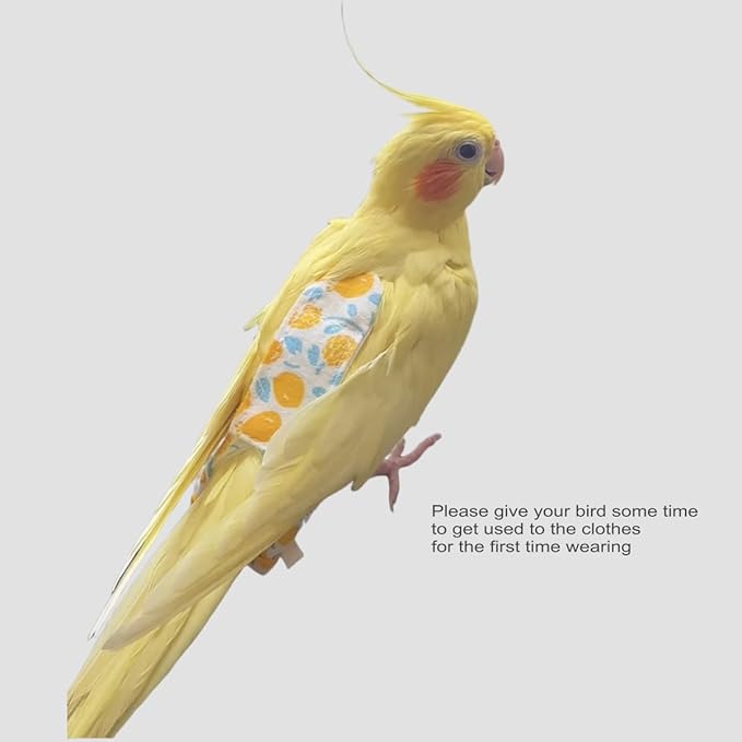 Bird Diapers for Parrot, Cockatiels Conure Monk Parakeets Pigeon, Reusable Parrot Nappy, Bird Clothes for Parrots (Yellow, M, Count, 6)