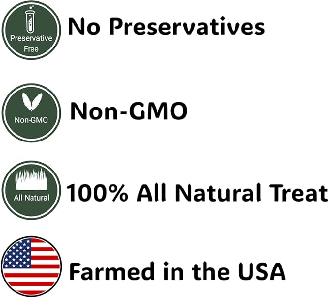 Natural Spray Millet 2lb (Only Edible Tops) Stemless- Non-GMO, Chemical-Free, Hand-Harvested Fresh Treat for Parakeets, Cockatiels, Finches, and Small Pets