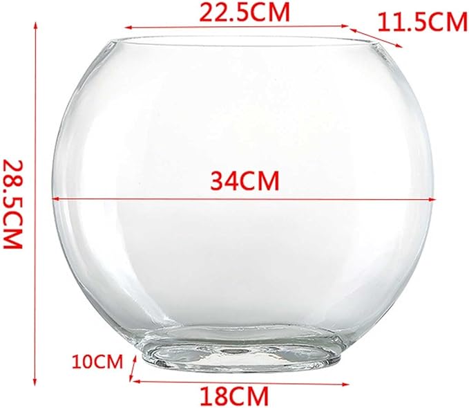 Aquariums Fish Bowl Creative Oval Glass Small Goldfish Fish Tank Home Desktop Decoration Transparent Glass Fish Tank Fish Tanks(Large)