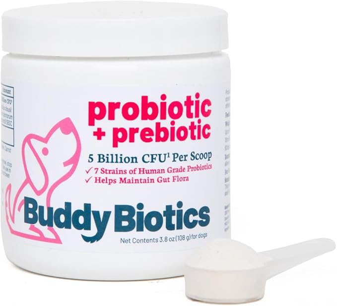 Probiotic + Prebiotic Powder for Dogs – 7 Probiotic Strains with Prebiotic FOS, Supports Gut Flora, Digestive & Immune Health, 5 Billion CFU per Scoop
