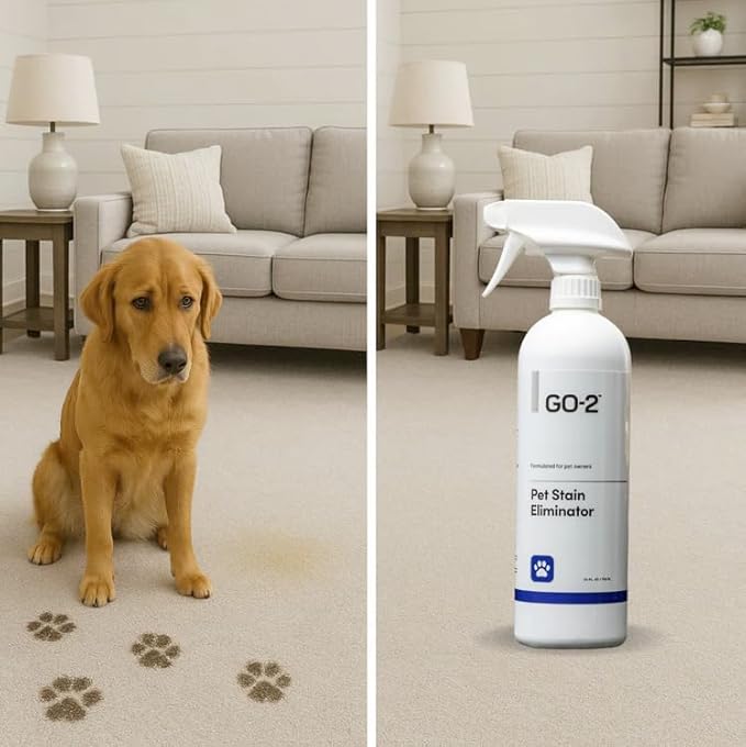 go-2 Pet Stain & Odor Remover for Carpet – Eliminates Dog & Cat Urine Fast, No Sticky Residue, Safe for Pets & Kids (24 oz)