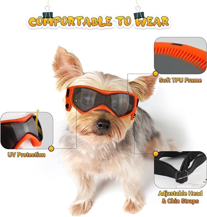 Small Breed Dog Goggles, Sunglasses with UV Protection, Adjustable Straps - Orange