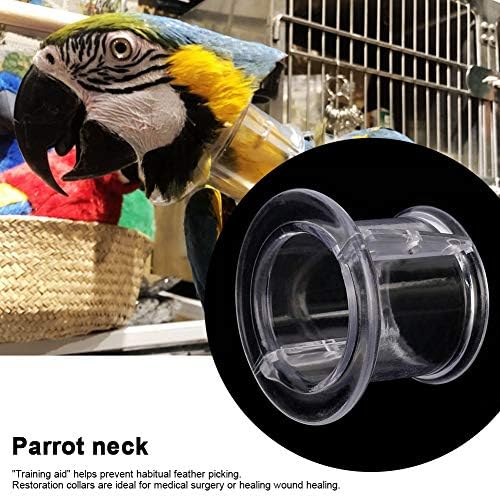 Parrot Neck Collar, Bird Recovery Cones Bird Neck Collar Bird Protector for Birds Small Animals Surgery Recovery(S)