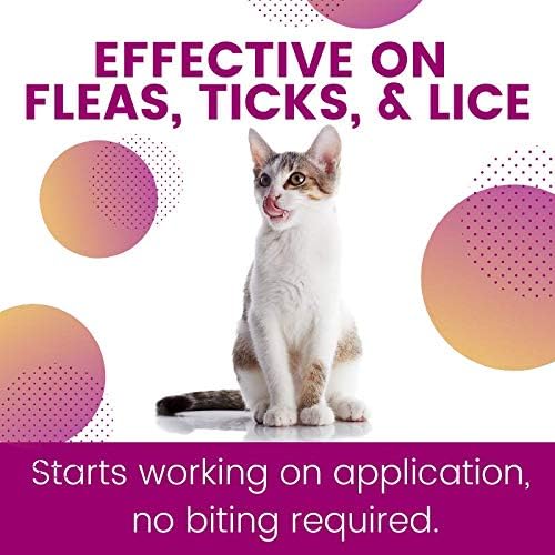 ZoGuard Plus Flea and Tick Prevention for Cats, Over 1.5 lbs (3 Dose)