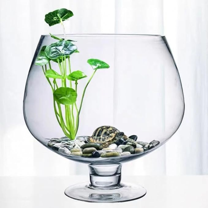 POPETPOP Transparent Multi-Function Betta Tank Decorative Desktop Aquarium for Plants Vase for Home Office Decor Unique Design