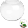 HOMSFOU Glass Fish Bowl Bubble Goldfish Bowl Round Glass Jar Terrarium Globe Flower Vase Hydroponic Planter Fish Tank Candy Jar Wishes Bottle for Micro Landscape 20cm