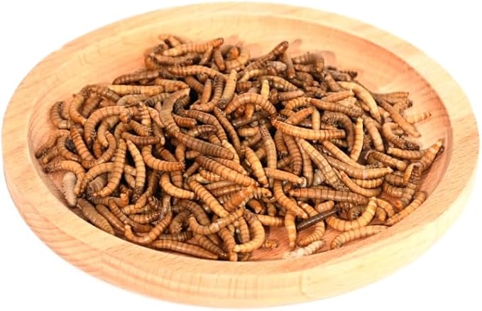 BeyondFeed™ Fresh Feeder Vac Pack Mealworms, All Natural and Preservative-Free, Ideal for Insect-Eating Reptiles, Birds, Tropical Fish, and Small Animals, 0.7 oz/ 20g *6 Packs Bundle