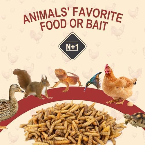 20LB Dried Black Soldier Fly Larvae for Chickens,Non GMO 86X More Calcium BSF Larvae Than Dried Meal Worms for Chicken, Turkey, Natural Black Fly Larvae for Chickens Bulk,Protein Chicken Grubs Treats