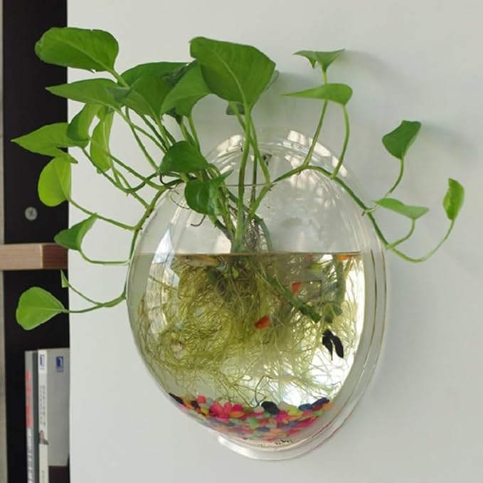 balacoo Wall Mounted Fish Tank 6.7 Inch Acrylic Aquarium with Hanging Design for Home Decor Transparent Fish Bowl with Random Aquatic Plants Ideal for Betta and Small