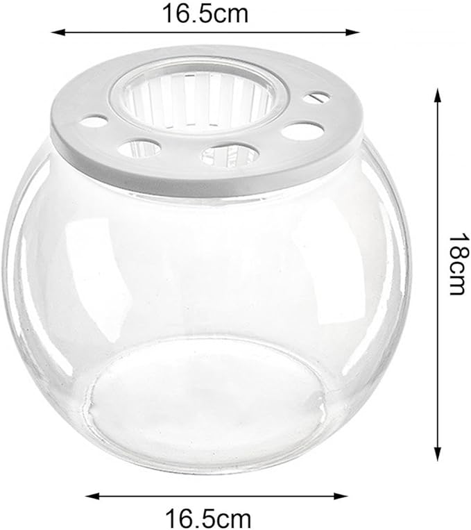 Aquarium Bowl Tabletop with Open Cover for DIY Micro Landscape in Cafe Dorm Room, Round