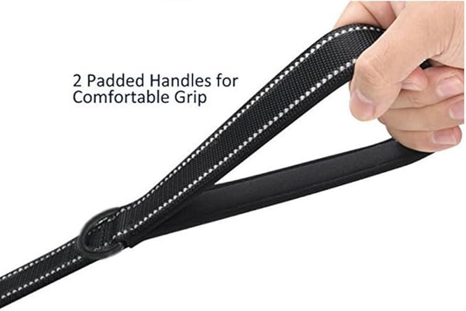 Heavy Duty Dog Leash - 2 Handles by Padded Traffic Handle for Extra Control, 6foot Long - Perfect for Medium to Large Dogs (6 ft, Black)