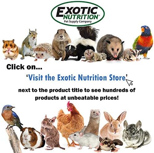 Exotic Nutrition Dried Black Soldier Fly Larvae (1.5 oz.) - High-Calcium Insect Treat - Chickens, Wild Birds, Hedgehogs, Bluebirds, Reptiles, Sugar Gliders, Opossums, Skunks, Lizards, Fish