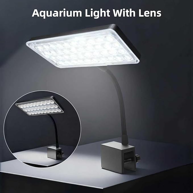 10 Gallon Glass Small Fish Tank with Filter Light and Lid, Aquarium Starter Kit
