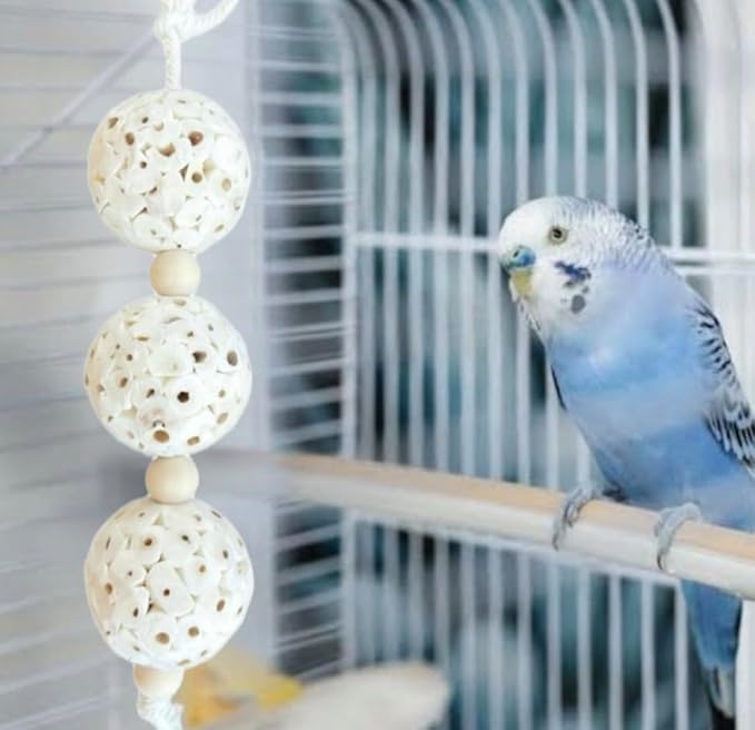 Triple Stack Natural Sola Ball Hanging Chew Toy for Small Birds - Set of Two