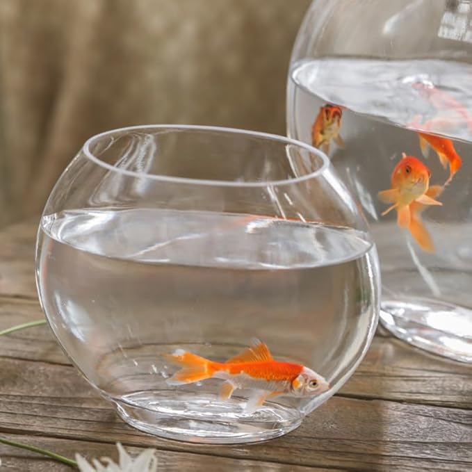 Multi-Function Glass Fish Tank 9.84 Inch Transparent Aquarium Bowl for Home Desktop Office Decor with Fish Accessories