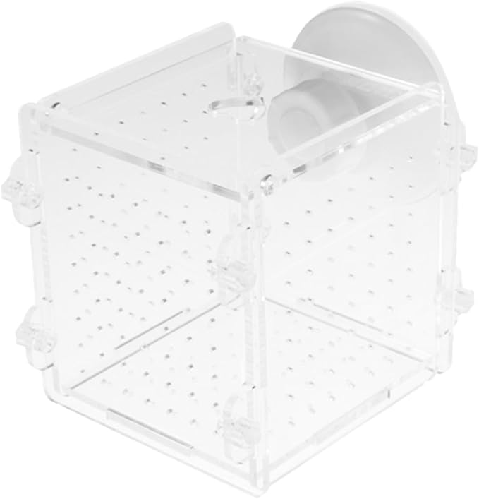 Mobestech Acrylic Fish Breeding Box with Divider 8x8x8.8cm Aquarium Fish Isolation Case Breeder Container for Betta Fry Shrimp Hatchery