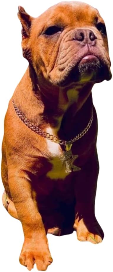 Initial Letter Cuban Chain Dog Chain Pet Chain Pet, Cat, Puppy Necklace (K, 24")