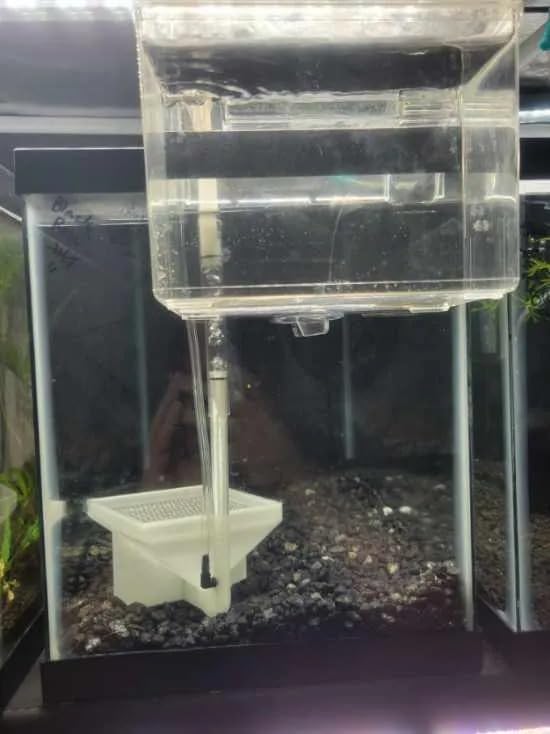 Hatchery Box Accessories for Fluval | Fish Egg Collector | Suitable for Egg-Laying Fish breeding | Bottom Grid Design | Can be Used with Sphagnum Moss | Viewing Window