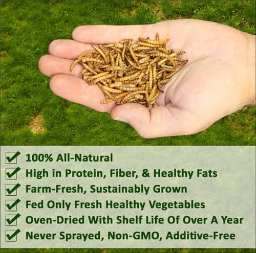 Dried Mealworms - 100% Natural, Non-GMO, High Protein, Bulk Insect Treat for Chicken, Laying Hen, Chick, Wild Bird, Bluebird, Duck, Goose, Turkey, Chickadee, Titmice, Wren, Reptile, Fish (5 lb.)
