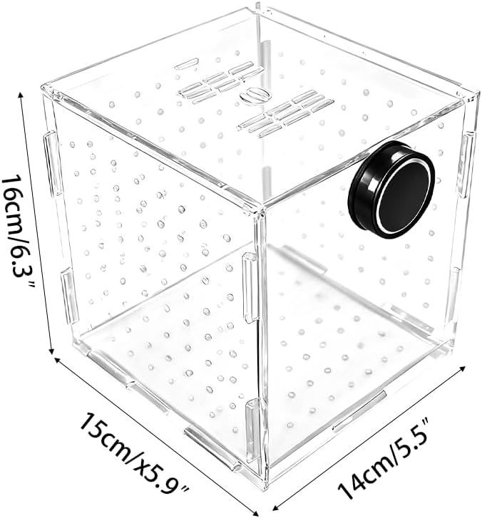 Aquarium Breeding Box,Magnetic Fixation Acrylic Fish Tank Isolation Box with Feeding Hole for Fish Hatching Rearing