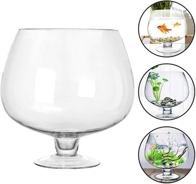 POPETPOP Transparent Multi-Function Betta Tank Decorative Desktop Aquarium for Plants Vase for Home Office Decor Unique Design