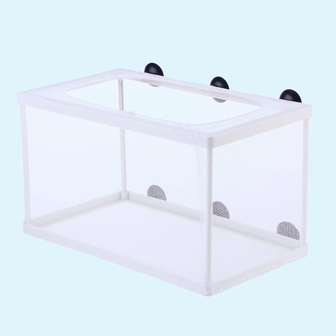 balacoo Fish Isolation Box for Aquarium with Suction Cups Large Size Fish Breeder Net Hatchery Incubator 10.23X5.9X5.9 Inch Separator for Tank Nursery