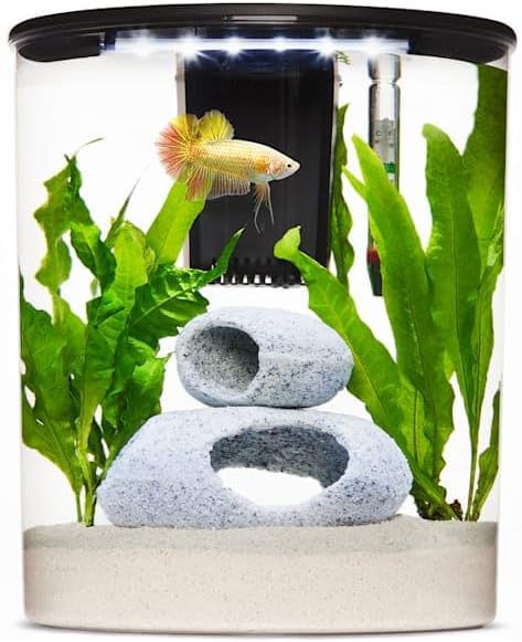 imagitarium Plastic Half-Moon Betta Aquarium 2.5 Gallon