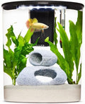 imagitarium Plastic Half-Moon Betta Aquarium 2.5 Gallon