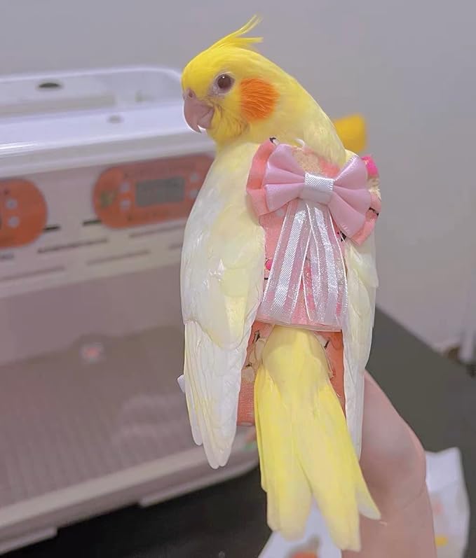 Bird Flight Suits Diapers, Parrot Diapers for Monk Parakeets, Cockatiels Flight Suits, Parrot Clothes, Bird Training Nappy Suit Liners Clothes (Medium, Light Pink)