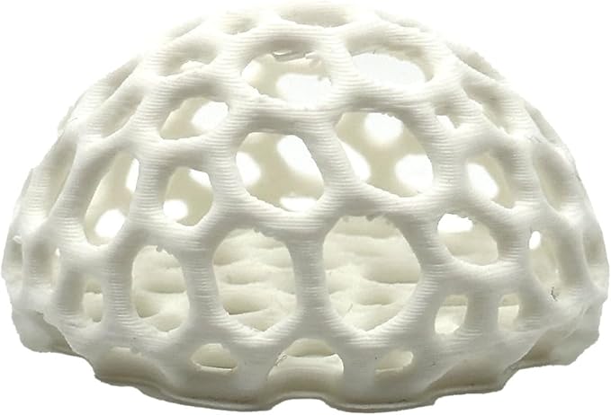 Shrimp Dome Hide - Aquarium Cherry Shrimp Hide - CTWPets Cherry Shimpe Hide (White)