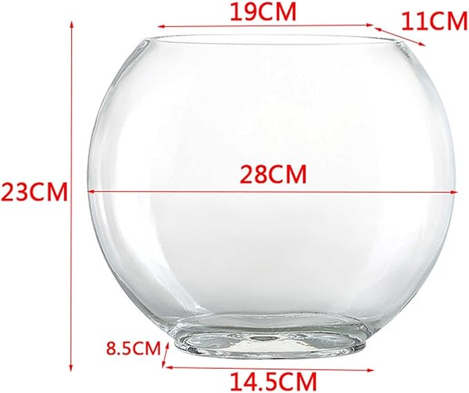 Aquariums Fish Bowl Creative Oval Glass Small Goldfish Fish Tank Home Desktop Decoration Transparent Glass Fish Tank Fish Tanks(Medium)
