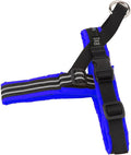 ComfortFlex Sport Dog Harness – No-Choke, Fully Padded, Non-Chafing Harness with Control Handle – Reflective, Lightweight, Adjustable for Active Dogs - Petite, Mariner Blue