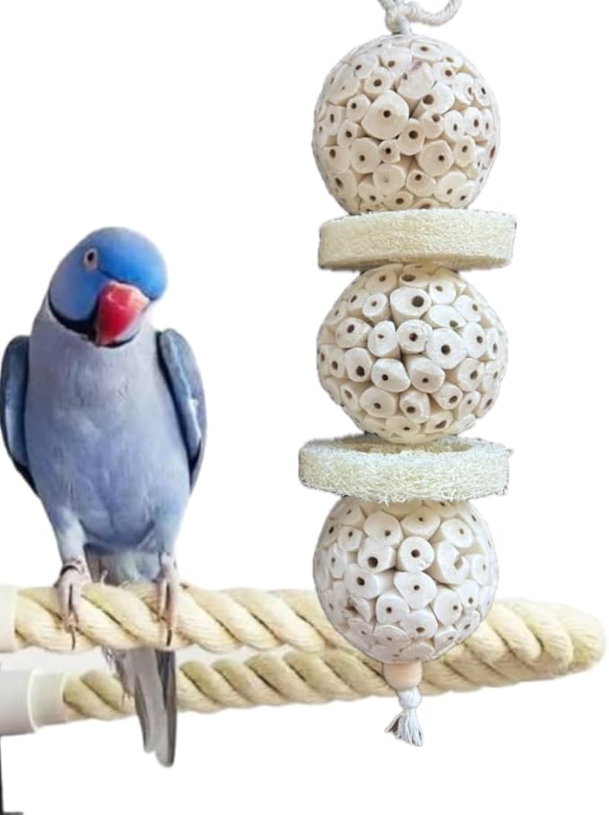 Triple Stack Natural Sola Ball and Loofah Slice Hanging Toy - Medium Birds - Set of Two (Medium)