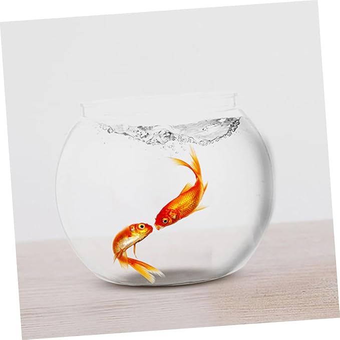 COHEALI 2pcs Large Round Fish Bowls Plastic Small Aquarium Tanks for Desktop Betta Goldfish Micro Landscape Container Office Decoration