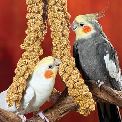 Nemeth Farms 5lbs Premium Spray Millet for Exotic Birds – Grown in The USA – 100% Natural & Non‑GMO Bird Treat – Sun‑Dried Millet for Parakeets, Conures, Cockatiels, Parrots & Budgies