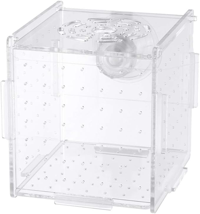 Fish Breeding Box- Box Hatchery Incubator Aquarium Fish Breeding Boxes Divider Hatching Boxes Accessory for Small Shrimp Clownfish Guppy-Small Suction Cup