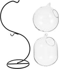 Cabilock Glass Vases 1 Set Desk Glass Hanging Fish Bowl Tank Mini Table Aquarium Betta Fish Bowl Clear Homes with Iron Stand Water Planting Vase for Office Home Decor B Cylinder Vases