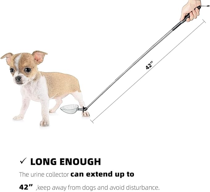 Dog Cat Urine Collector- Telescopic Handled Dog Pee Sample Catcher for Veterinary Supplies, Urine Stick for Small Large Female Dogs Extends to 42"
