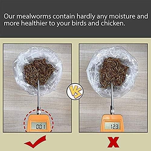 Non-GMO Dried Mealworms 6LB, 100% Natural Large Size No Moisture,Treats for Birds Chickens Hedgehog Hamster Fish Reptile Turtles (6lb)