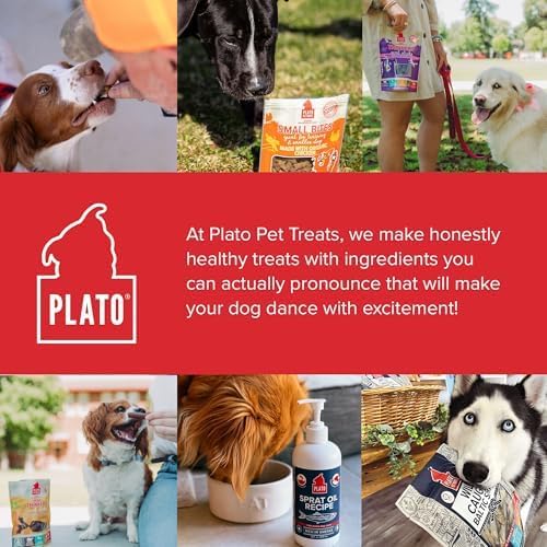 PLATO Pet Treats Thinkers - Meat Stick Treats for Dogs - Limited Ingredient Dog Treats with EPA and DHA to Support Skin, Coat, and Brain - Air-Dried Dog Treats - Thinkers Lamb 18oz - 2 Pack