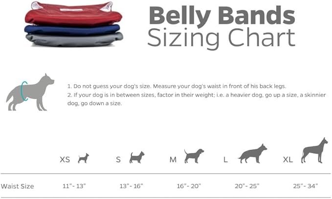 Pet Parents® Washable Belly Bands for Male Dogs (3pack) + Extendrs® of Durable Dog Diapers Male, Premium Male Dog Diapers & Dog Wraps (X-Small, Kingsmen)